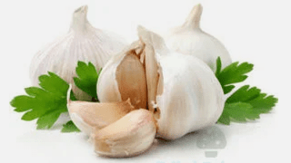 Garlic from mushrooms
